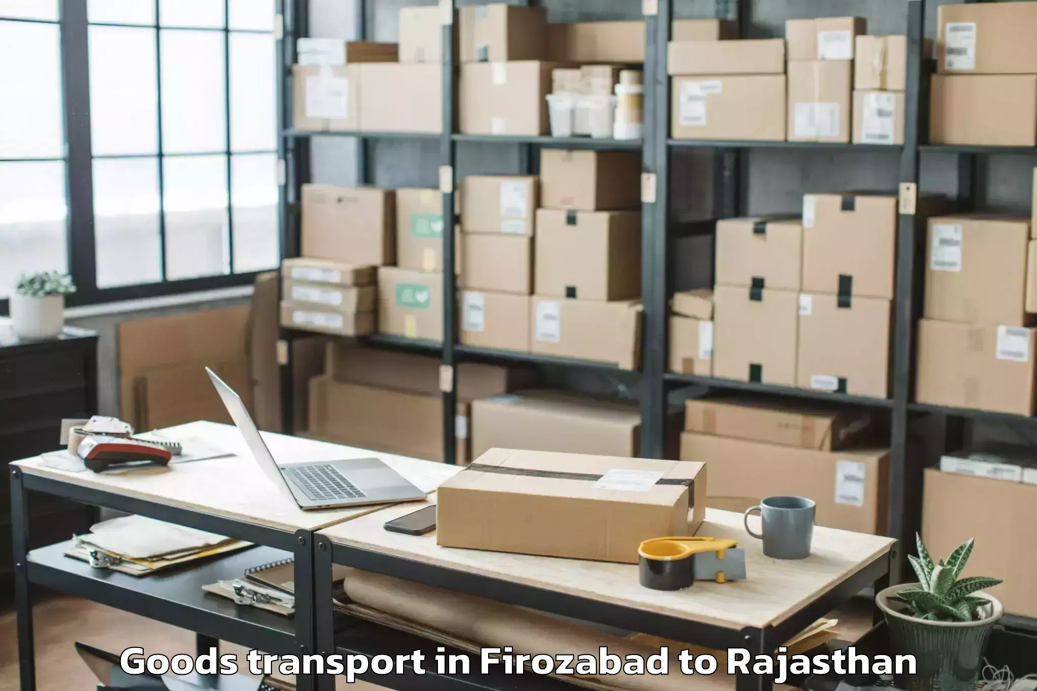 Trusted Firozabad to Bilara Goods Transport